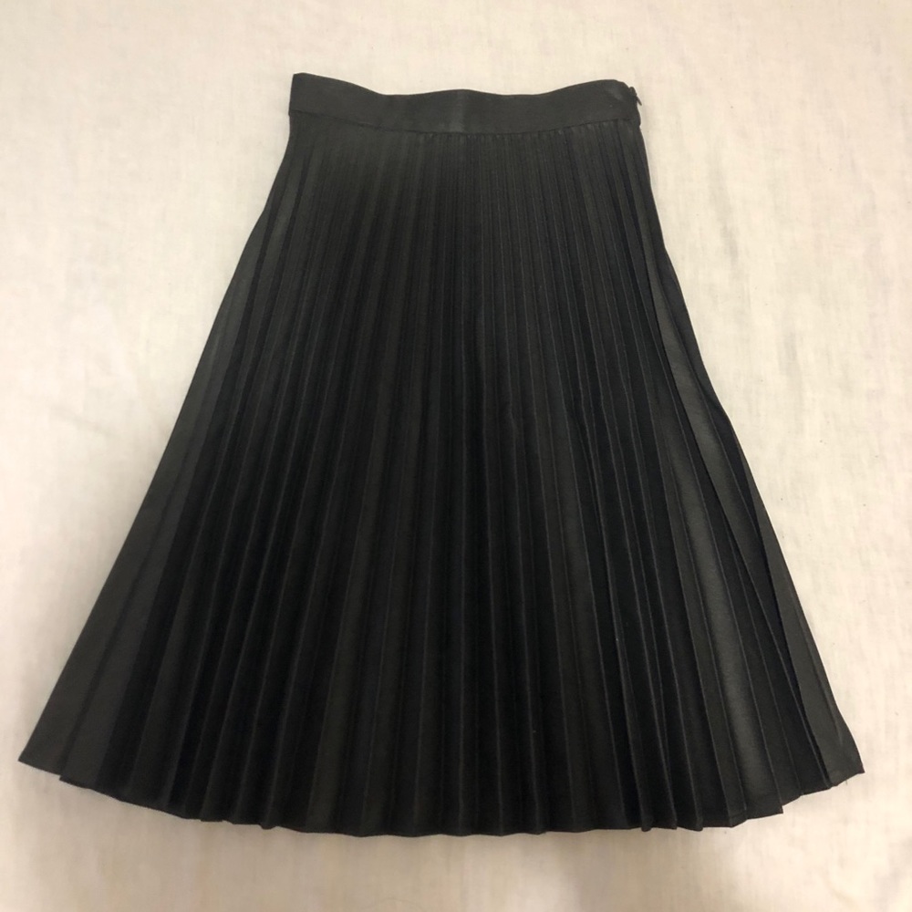 Zara Pleated Skirt